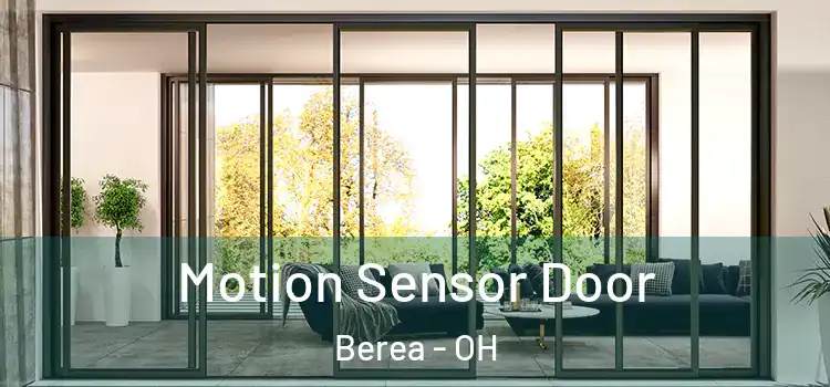 Motion Sensor Door Berea - OH